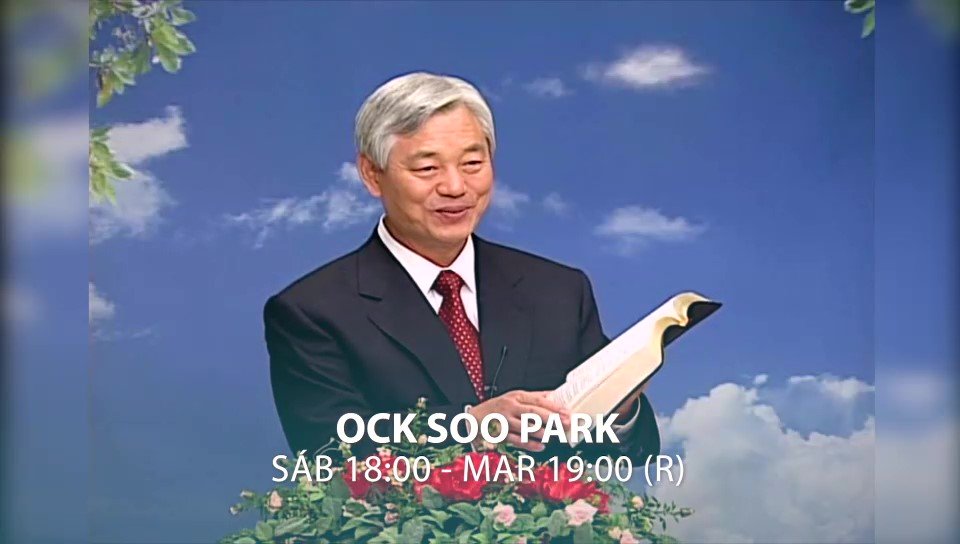 TRABAJO DE XTOTV BOLIVIA - Imagen 6